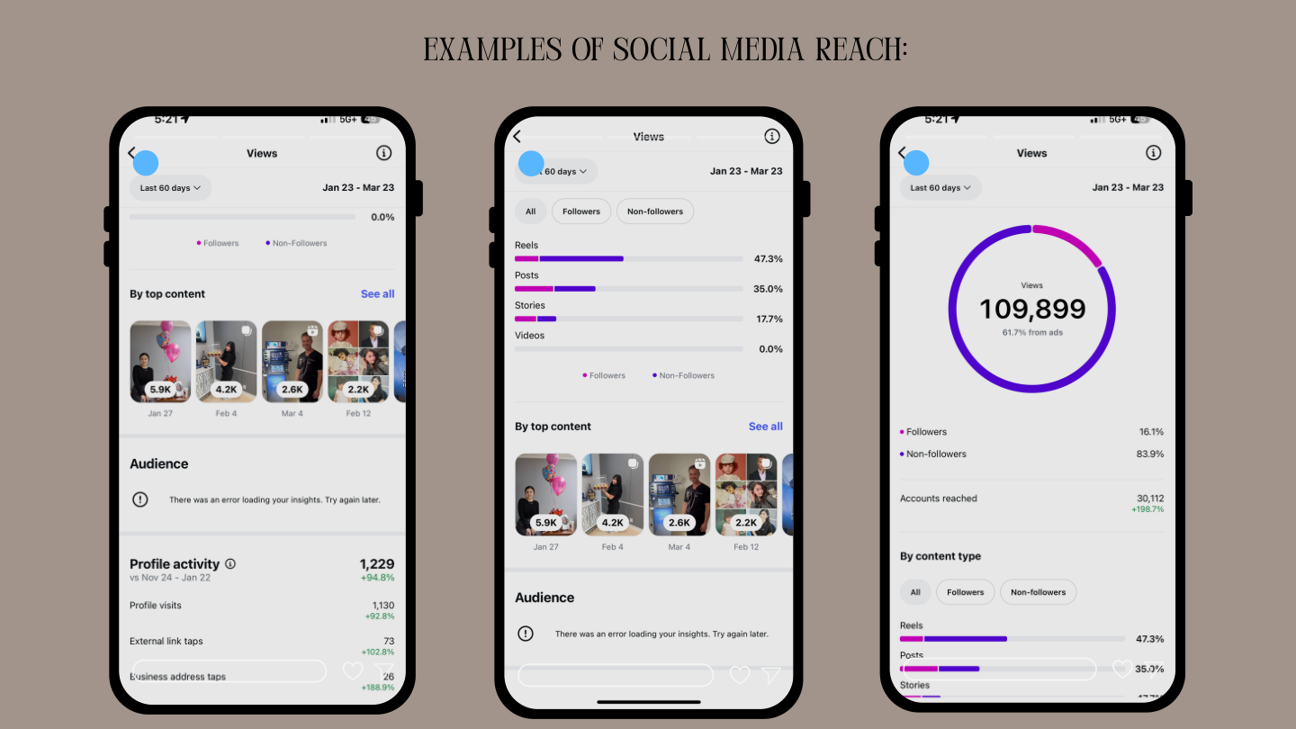 Instagram analytics screenshots from Haidy’s portfolio